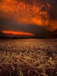 Flipboard의 Astrid Van Langeraad