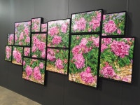 Flipboard의 Annabel Crabb