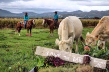 Flipboard의 #farmlife