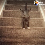 Flipboard의 Trinity St. Clair