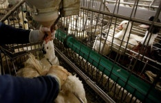 플리토에서 Reuters (@Reuters)의 SNS를 한국어로 읽어보세요.