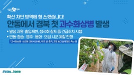 경상북도 소셜허브