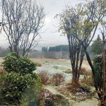 플리토에서 勝間和代 (@kazuyo_k)의 SNS를 한국어로 읽어보세요.