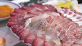 맛볼 수 있는 부산에서 가볼만한곳. 사직동 삼천포횟집 - 일간스포츠 제철 겨울 대방어를 맛볼 수 있는 부산에서 가볼만한곳. 사직동 삼천포횟집