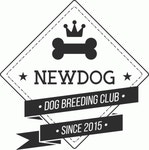 NEWDOG 2020년 기업정보 | 회사소개, 근무환경, 복리후생 등 기업정보 제공 - 사람인 NEWDOG기업정보 - 사람인