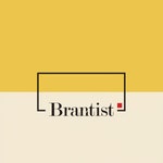 Brantist 2020년 기업정보 | 회사소개, 근무환경, 복리후생 등 기업정보 제공 - 사람인 Brantist기업정보 - 사람인