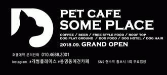 (주)썸플레이스 2020년 기업정보 | 회사소개, 근무환경, 복리후생 등 기업정보 제공 - 사람인 (주)썸플레이스기업정보 - 사람인