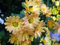 부산광역시 동래구 온천동 동래SK뷰1차 | 부동산뱅크 단지뱅크