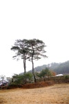 영월 우리들캠핑장 후기 .2 - 후기(캠핑/여행/산행) - 오토캠핑존(오캠존) 영월 우리들캠핑장 후기 .2