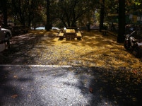 외방커뮤니티 > 사진방 > 그동안 찍었던 사진들 ...^^(서울 부산 대구! ㅋㅋ)