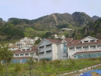 대아리조트.도동항,갈메기 - 야곱 전국성지순례 - 주)야곱 여행사 가톨릭 성지순례  대아리조트.도동항,갈메기