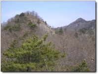 조인기의 산과 여행이야기 | 금남정맥 12 (백령고개~육백고지~봉수대안부~무릉리) 06.02.19 - Daum 카페 금남정맥 12 (백령고개~육백고지... 
