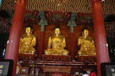 사월 초파일 | 네이트 판