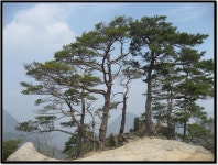 산행기 - 칠보산(충청북도, 괴산) 봄맞이 산행...
