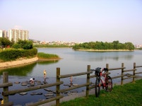 혹시 수원 철길 옆의 작은 호숫가에 가보셨습니까? - 수원 서호공원 - 철도(지하철) 갤러리