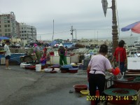 - 주변 볼거리/먹거리 - 해운대비치펜션모텔 바로앞 노천활어시장! 새벽부터 10시까지열리며 생선회가 너무 쌉니다, 미포어촌계... 