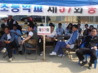 동창들 - 모임 앨범 - 안계초등학교57회동창회 동창들