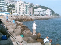 어제(08.07.06/일) 해운대에서 촬영한 사진입니다 ~ ~ - 통합 게시판 - 해운대비치펜션모텔 어제(08.07.06/일) 해운대에서 촬영한 사진입니다 ~ ~