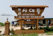 7월 28~30일 까지 함께했던 시애틀 팬션 - 펜션 앨범 - 대부도 시애틀펜션(대부도펜션) 7월 28~30일 까지 함께했던 시애틀 팬션