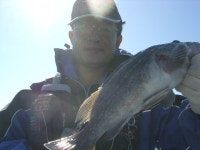 ◈ 해상호 ◈ 11월 17일 단체 조황 사진!!