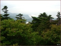 오케이몰, 1등 온라인쇼핑몰을 목표로