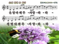 478 온맘다해주사랑- 온맘다해주사랑하라 - p p t 찬 양 - .:+ 성림교회 . 성림인의 나눔터.:+ 478 온맘다해주사랑- 온맘다해주사랑하라