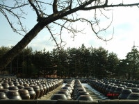 나의 인생은 여행이다... | 경기안성 서원농원 - Daum 카페 경기안성 서원농원