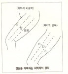 정규동의웰빙건강보완대체의학자연치유연구원 | Re:도우며살자님의 자가치유법 워크숍 참가 후기 - 건강, 대체/자연요법, 미용 - 로드넷 Re:도우며살자님의 자가치유법 워크숍 참가 후기