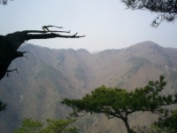 산행기 - 100산(49) 도일봉~용조봉~중원산으로의 연계산행..양평 (08.4/5 토)