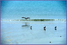 재울산호남향우중구지회 | 땅끝완도 여행가이드 - Daum 카페 땅끝완도 여행가이드