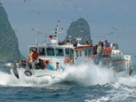 우산국을 찾아서 자작글