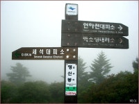 오케이몰, 1등 온라인쇼핑몰을 목표로
