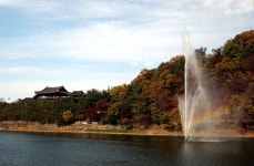 표충사 - • ♡˚-…。…-풍경 사진  - 하나골프동우회 표충사