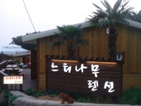느티나무 새간판 - 토포의 사랑방 - 욕지도 느티나무펜션 느티나무 새간판
