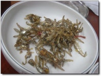 :: 맛집,부산,해운대,금수복국,네이트지식,밀면전문점,서울집,소문난 암소갈비집,원조할매국밥,해운대맛집 :: 맛집 정보 검색 NO.1 사이트... 