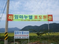 재경순창군향우회 | 포도 판매시작{수정본} - Daum 카페 포도 판매시작{수정본}