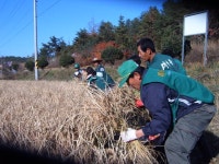 읍면동홈페이지 > 사벌국면 > 참여마당 > 주민과 함께 | 상주시