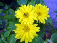 부산광역시 동래구 온천동 동래SK뷰1차 | 부동산뱅크 단지뱅크