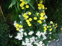 부산광역시 동래구 온천동 동래SK뷰1차 | 부동산뱅크 단지뱅크