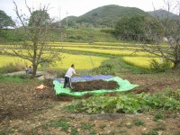 읍면동홈페이지 > 화남면 > 참여마당 > 주민과 함께 | 상주시