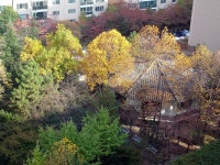 부산광역시 동래구 온천동 동래SK뷰1차 | 부동산뱅크 단지뱅크