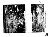 Peel 2363, p. 0:Ill