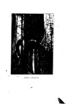 Peel 2695, p. 223:Ill