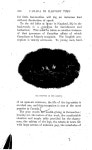 Peel 2695, p. 230