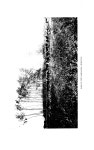 Peel 3222, p. 43:Ill