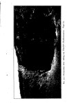 Peel 3812, p. 0:Ill