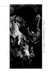 Peel 3812, p. 0:Ill
