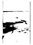 Peel 7174, p. 6:Ill