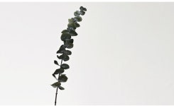 핸드메이드 시나몬 가랜드 - 감도 깊은 취향 셀렉트샵 29CM