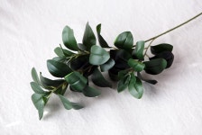 텐바이텐 10X10 : 푸른나무 잎 조화